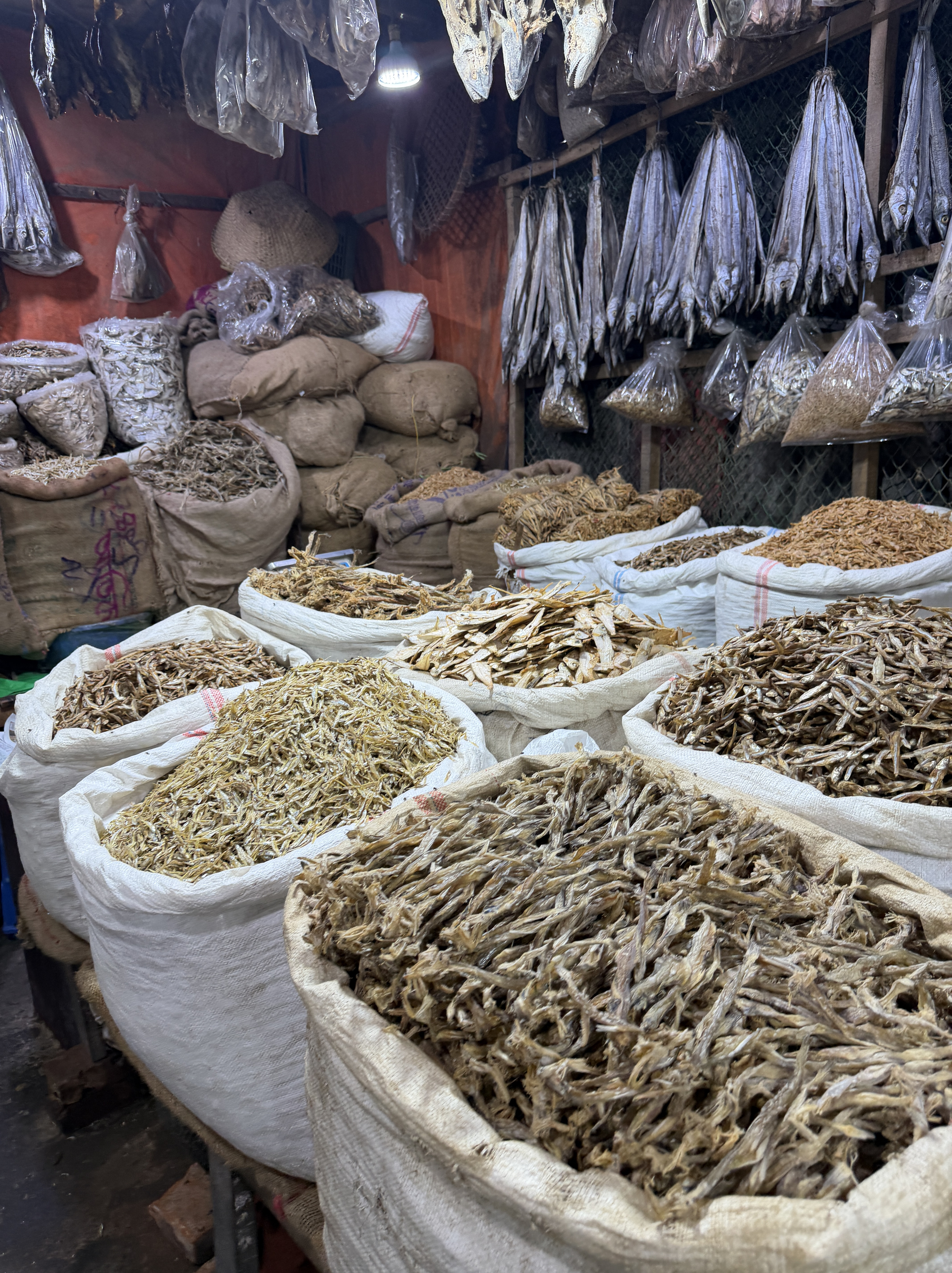 Premium Dried Fish – Quality Seafood from Bangladesh export from Bangladesh