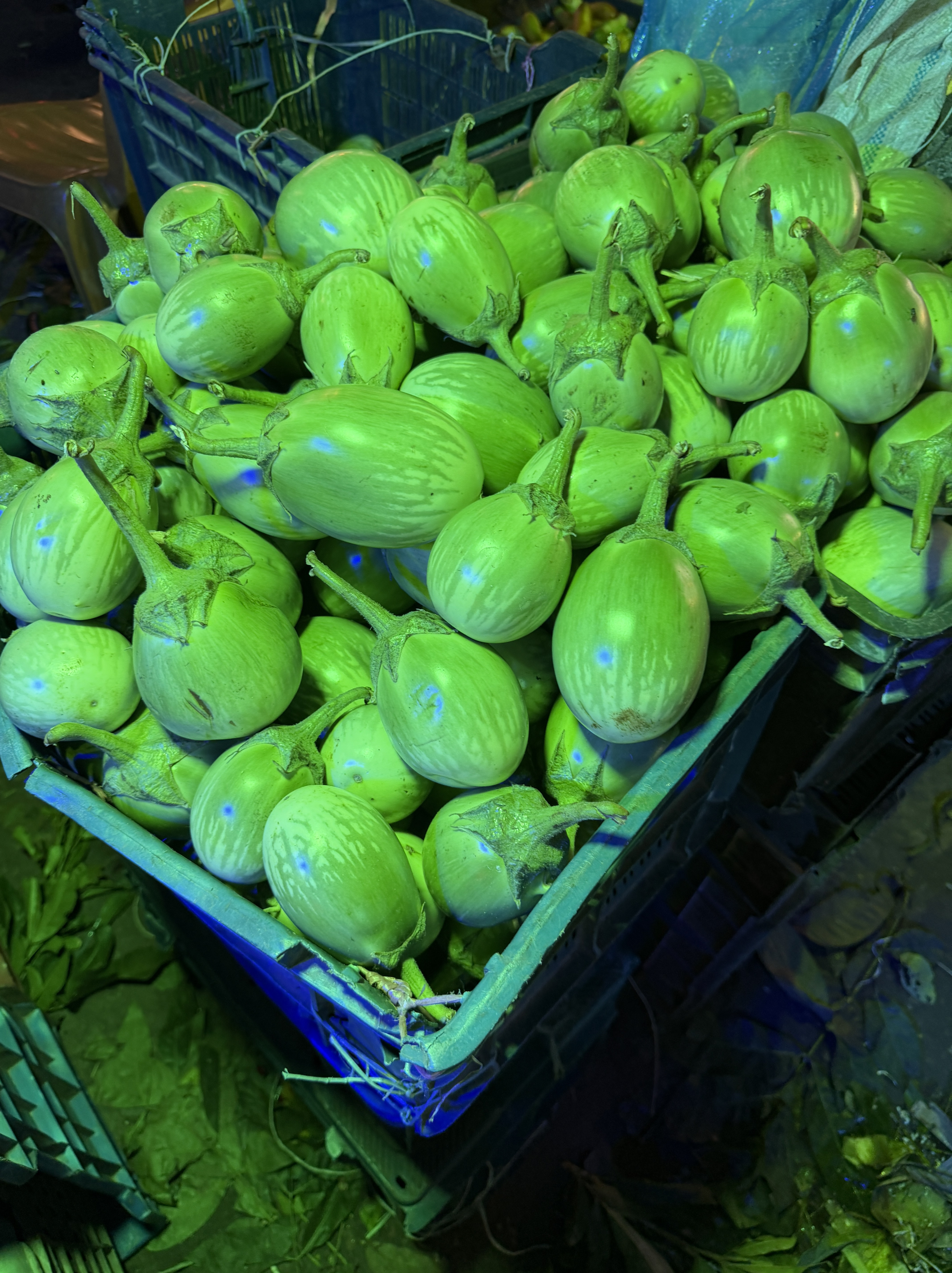Fresh Eggplant (Brinjal)