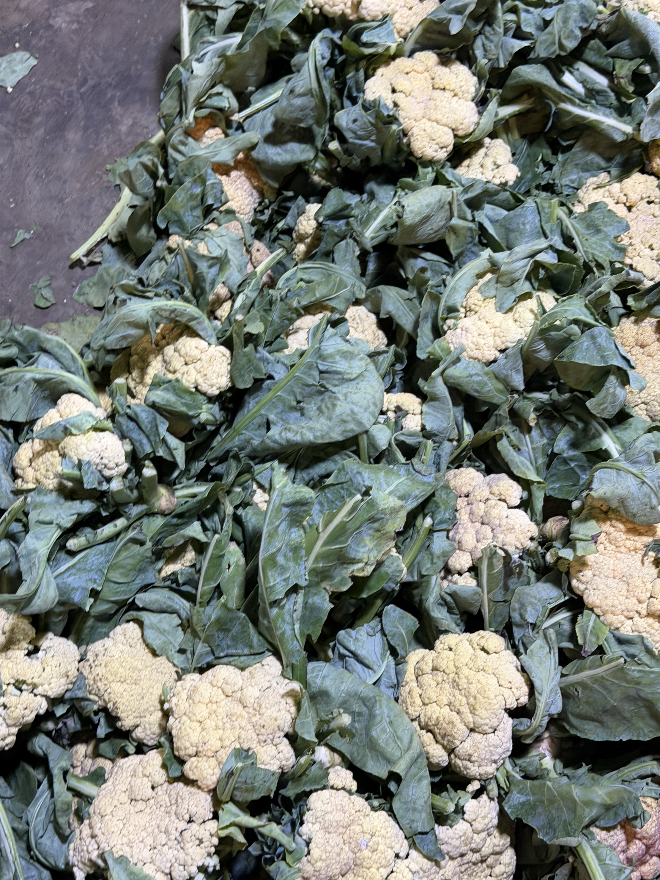 Fresh Cauliflower